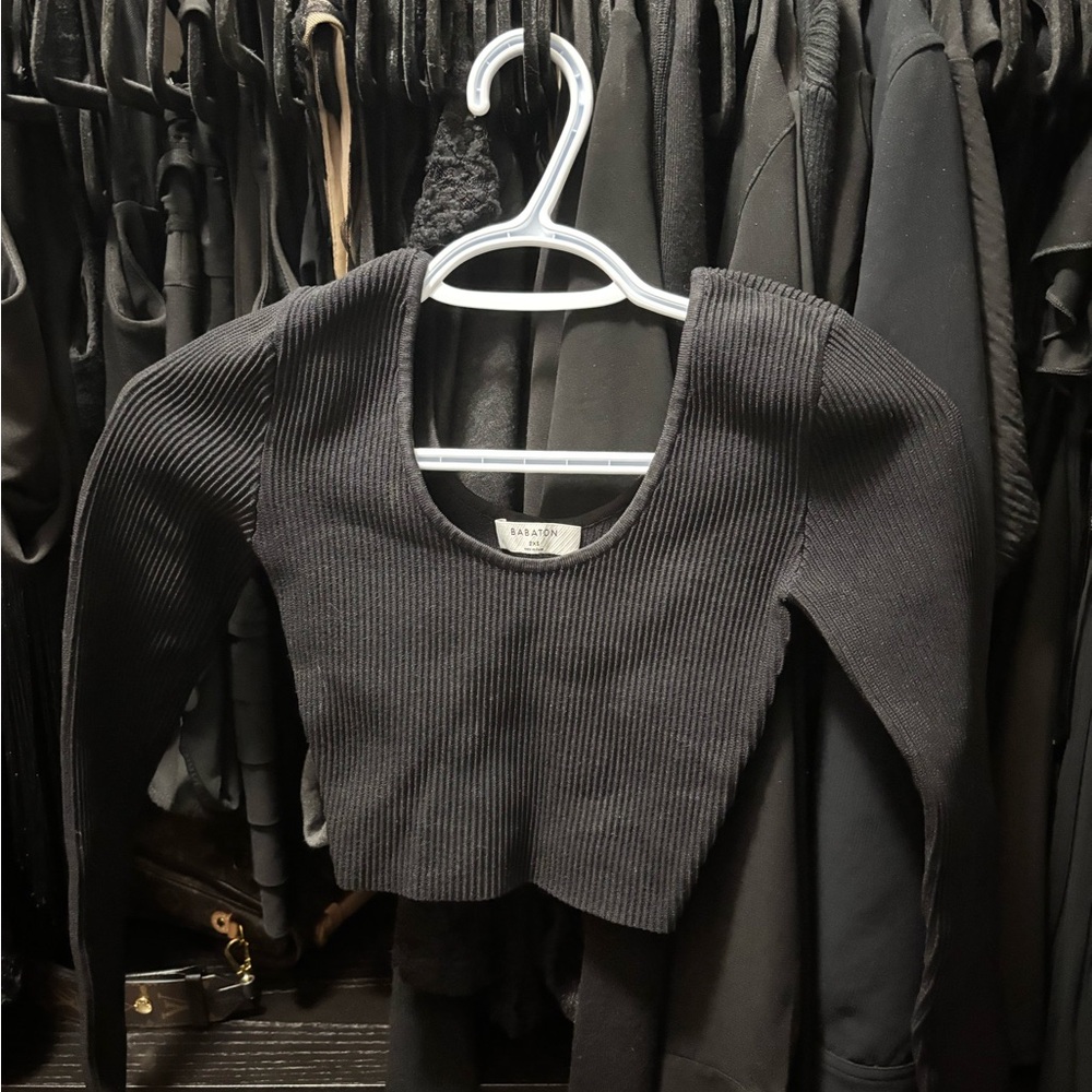 Aritzia/ Babaton cropped long sleeve